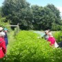 Rencontre conviviale au jardin G.A.B.E.L de Juvardeil
